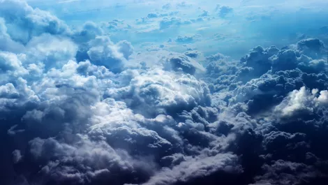 Small NZ businesses going global with cloud