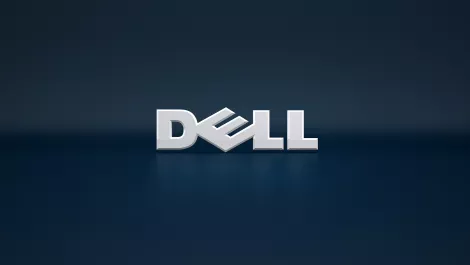 Privacy push drops Dell's profits