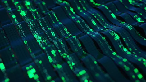 Adams asks ICT industry to show leadership