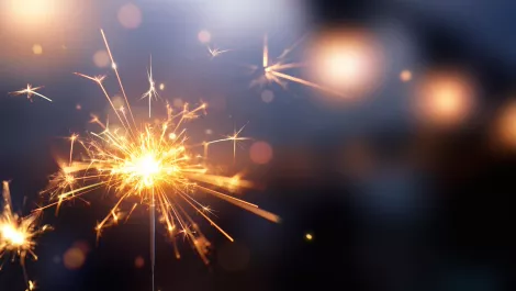 Tech & nature dominate Deloitte Fast 50