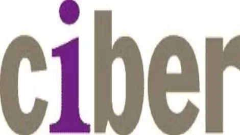 Sybase partners with Ciber