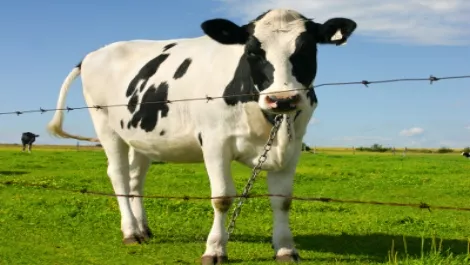 Levy our customers, not us – telco bodies