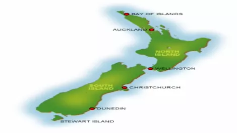StarForce Technologies seeks local partners