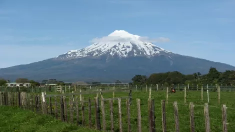 Blog: Westcon CTO visits New Zealand