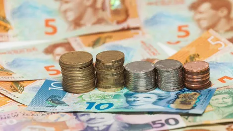 UPDATED: Fletcher shares drop on reduced FY guidance, lack of franking credits