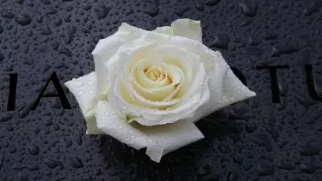 Former AIIA chief Ian Birks passes away