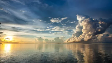 Calm before the storm: Australia holds its breath in declining smartphone market