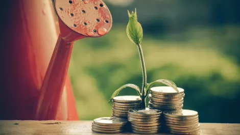 $1m fund launched as Aussie tech companies win at global awards