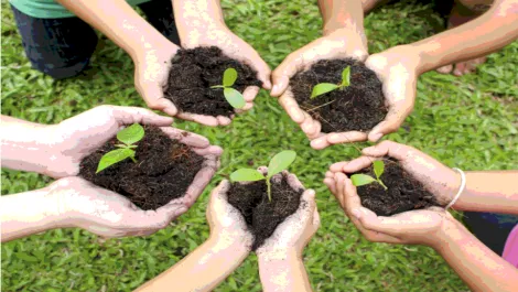 Canon NZ 'truly inspired' by environmental community projects