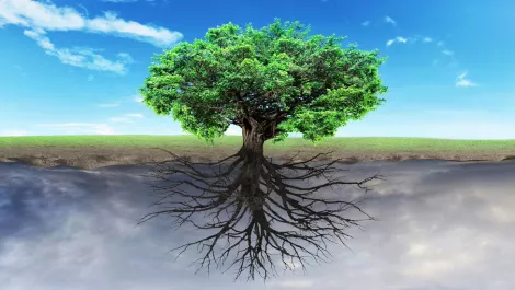 Customers to get the 'best of both worlds' with AWS and VMware