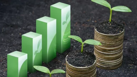 Public cloud subscription growth driving Rhipe revenues