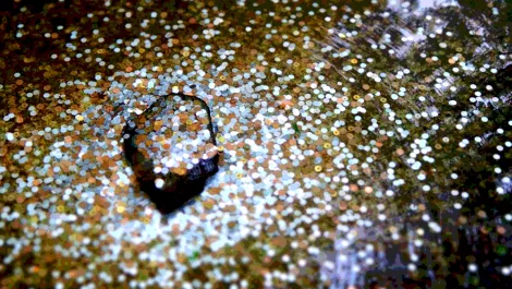 Exclusive: Is cybersecurity losing because it's too profit-focused?