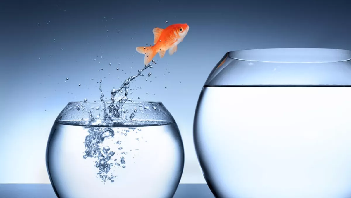 Open for opportunity: What's driving security pros to consider another job