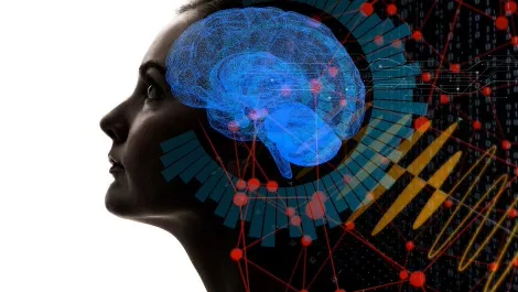 DataRobot to help partners bring AI within reach