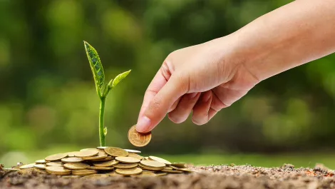 Canon Oceania offering $30k for 12th environmental grants programme