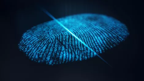 Gettyimages 881504508