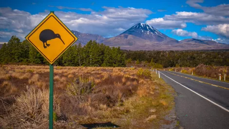 Vodafone and AWS create unique Kiwi voice for Amazon Connect