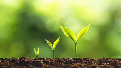 Enboarder raises US$32m in funding, plans for expansion