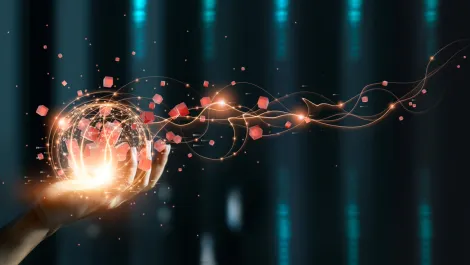 Sydney Fish Market launches digital trading platform