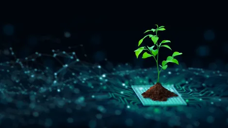 ESG: Why it matters and how to get started