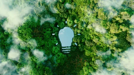 Fortinet ranked among the most sustainable in the industry