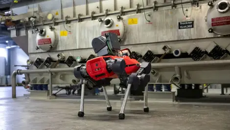 Anymal gas leak and presence detection solution 1.png  1 